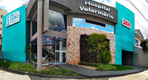 hospital veterinario tomares|Hospital veterinário em Tomares 